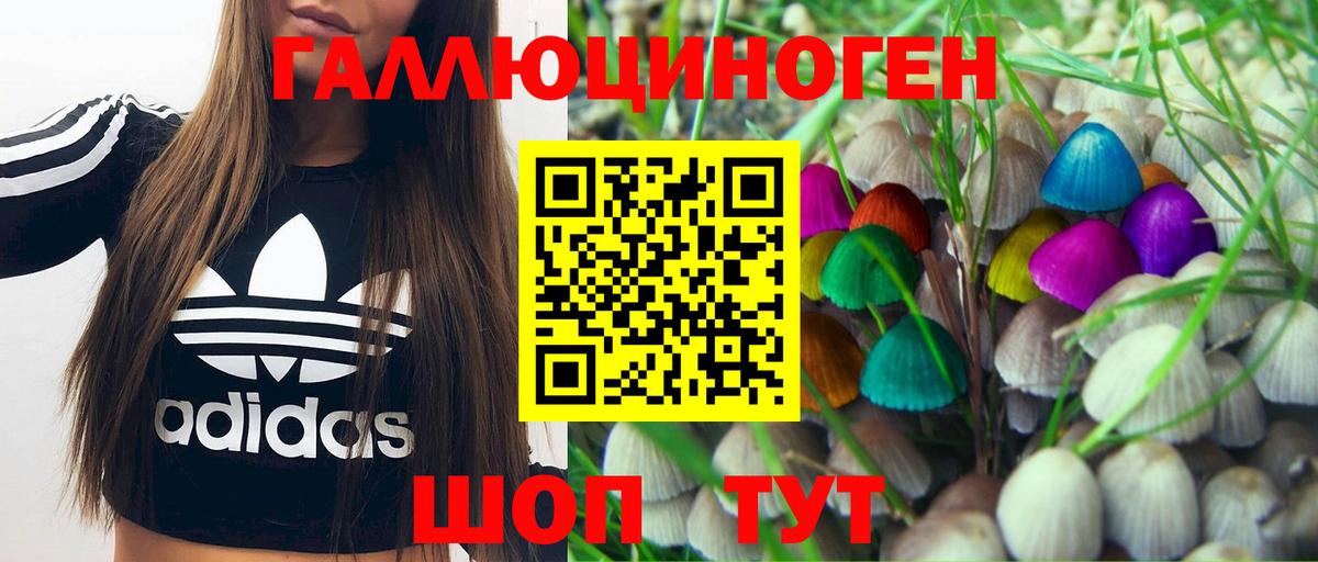 Псилоцибиновые грибы Psilocybine cubensis  Вход с VPN  Скопин 