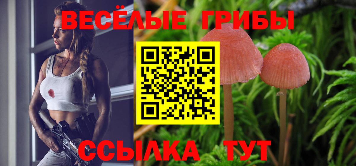 Галлюциногенные грибы мухоморы Скопин